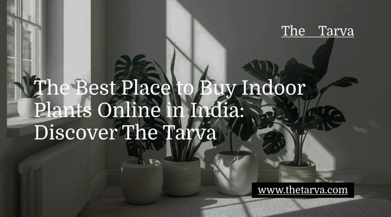 Discover-The-Tarva-The-Best-Place-to-Buy-Indoor-Plants-Online-in-India