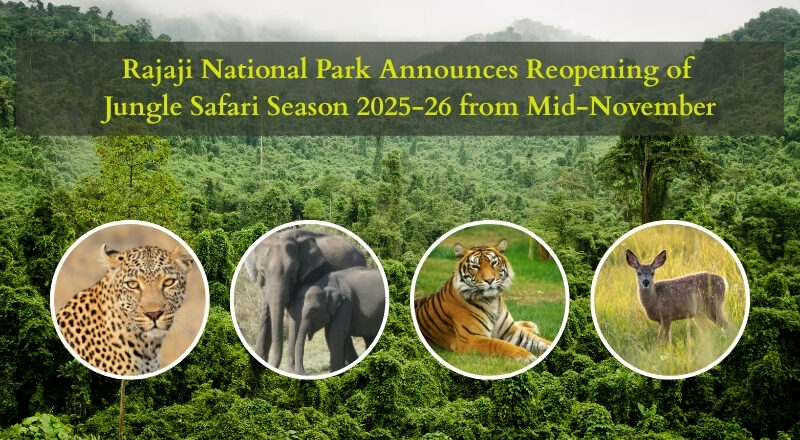 Rajaji-National-Park-Announces-Reopening-of-Jungle-Safari-Season-from-Mid-November